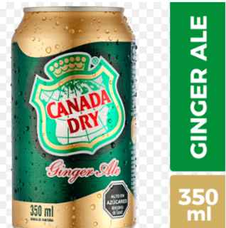 CANADA DRY GINGER ALE LATA 350cc 