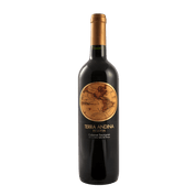VINO TERRA ANDINA CLASICO CAB. SAUV. 750 ML (13°)
