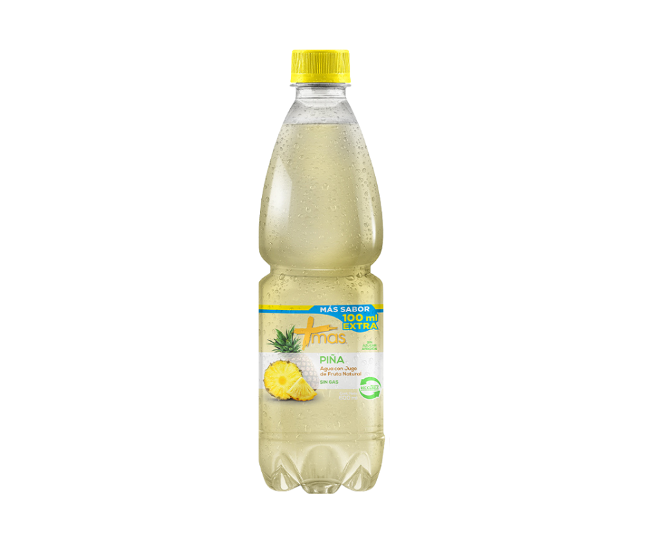AGUA MAS PIÑA 600cc