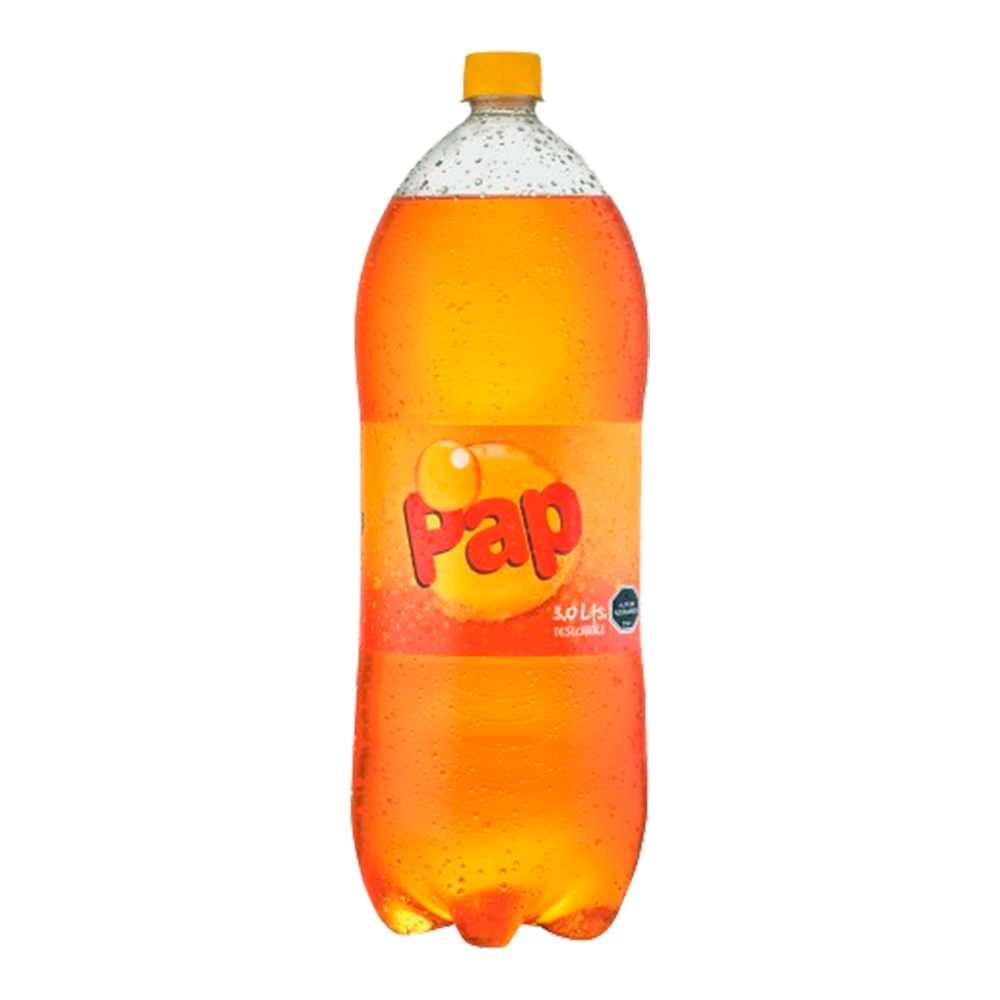 BEBIDA PAP 3LT PET