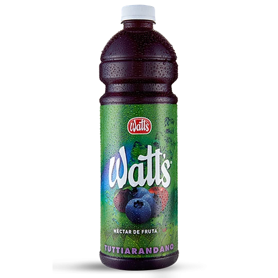 NECTAR WATTS ARANDANO 1.5 LT