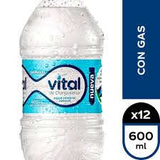 VITAL PET CON GAS 600cc X 12 UN