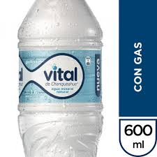 [U610-4] VITAL CON GAS 600cc PET