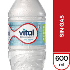 [U610-5] VITAL SIN GAS 600cc PET